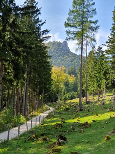 Bergwalderlebnisweg Staffen