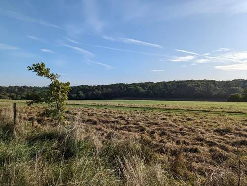 Best Hikes and Trails in Selsdon Wood Nature Reserve | AllTrails