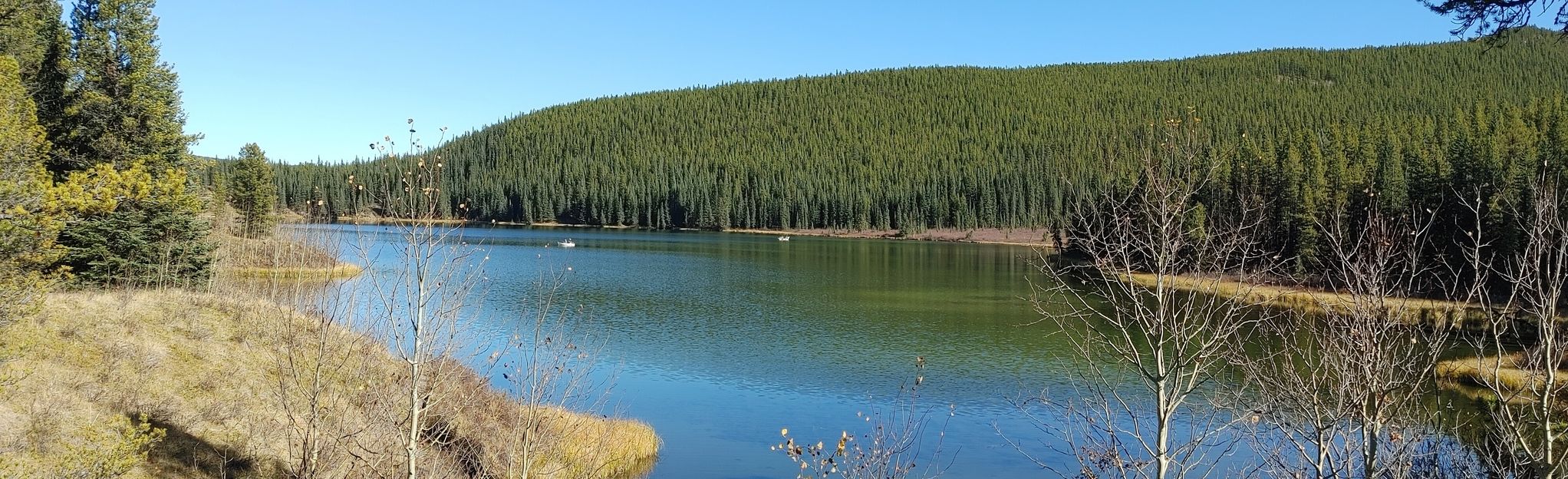 Peppers Lake Paddle: 13 Reviews, Map - Alberta, Canada | AllTrails