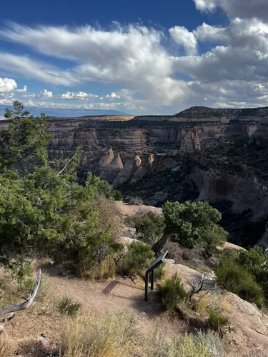 se permiten perros en los parques estatales de colorado