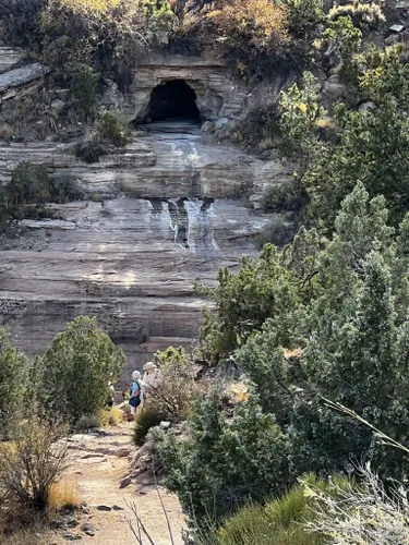 se permiten perros en los parques estatales de colorado