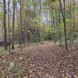 Blacksnake Mountain Trail, New York - 353 Reviews, Map | AllTrails