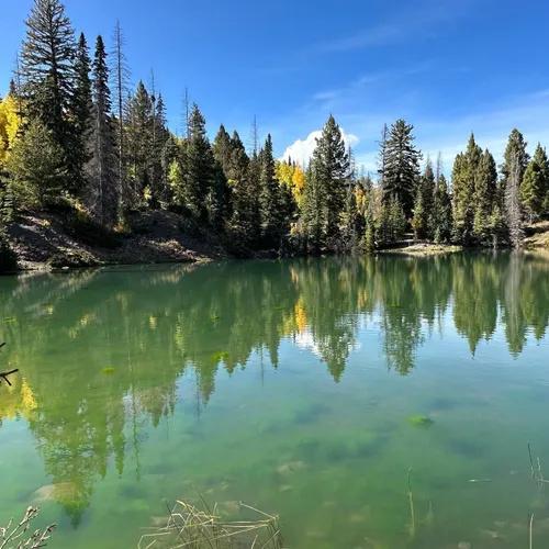 Best Walking Trails in Antonito AllTrails