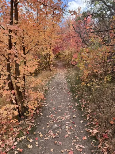 Desert Serenity: 5 Stunning Hiking Trails in Tooele – Utah