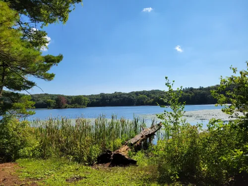 Best 10 Hikes and Trails in Yankee Springs Recreation Area