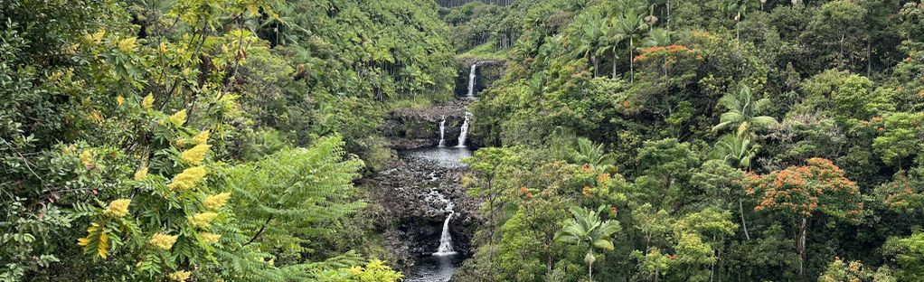 Big Island, Hawaii Rivers and Waterfalls - The Umauma Experience