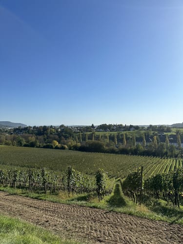 Gailingen am Hochrhein: Kurgarten - Rheinburg