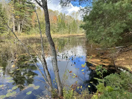 Best Hikes and Trails in Alexander Hope Smith Nature Reserve