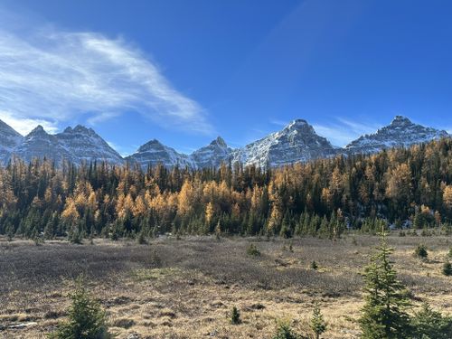 Sentinel Pass: 5.677 Fotos - Alberta, Canadá