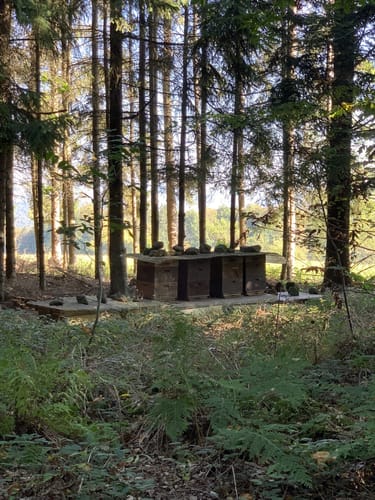 Hasenberg Runde