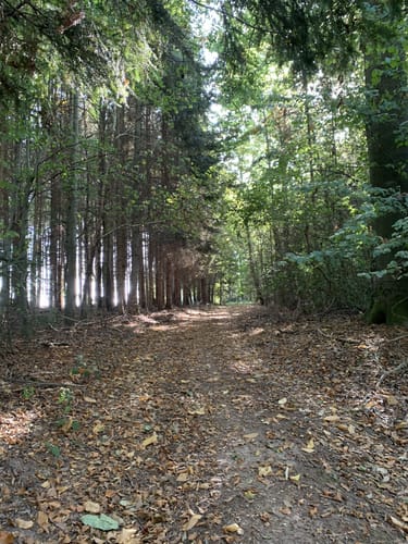 Hasenberg Runde