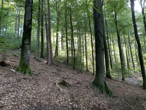 Hasenberg Runde