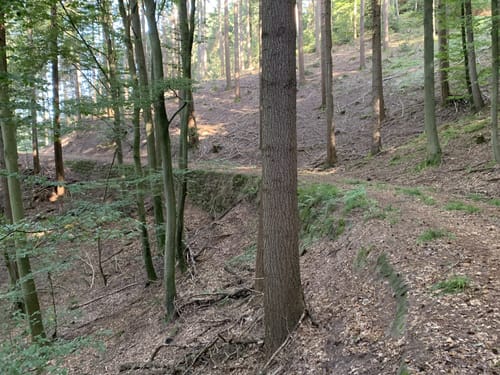 Hasenberg Runde