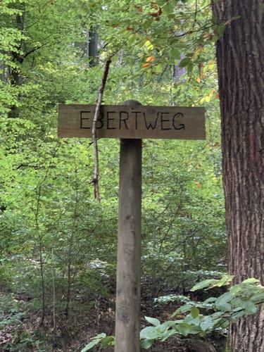 Hasenberg Runde