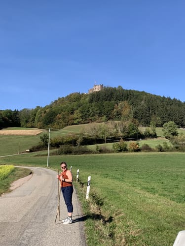 Burg Hohengeroldseck ab Schönberg