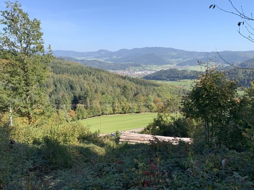 Burg Hohengeroldseck ab Schönberg