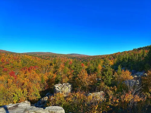 Camping near dolly clearance sods