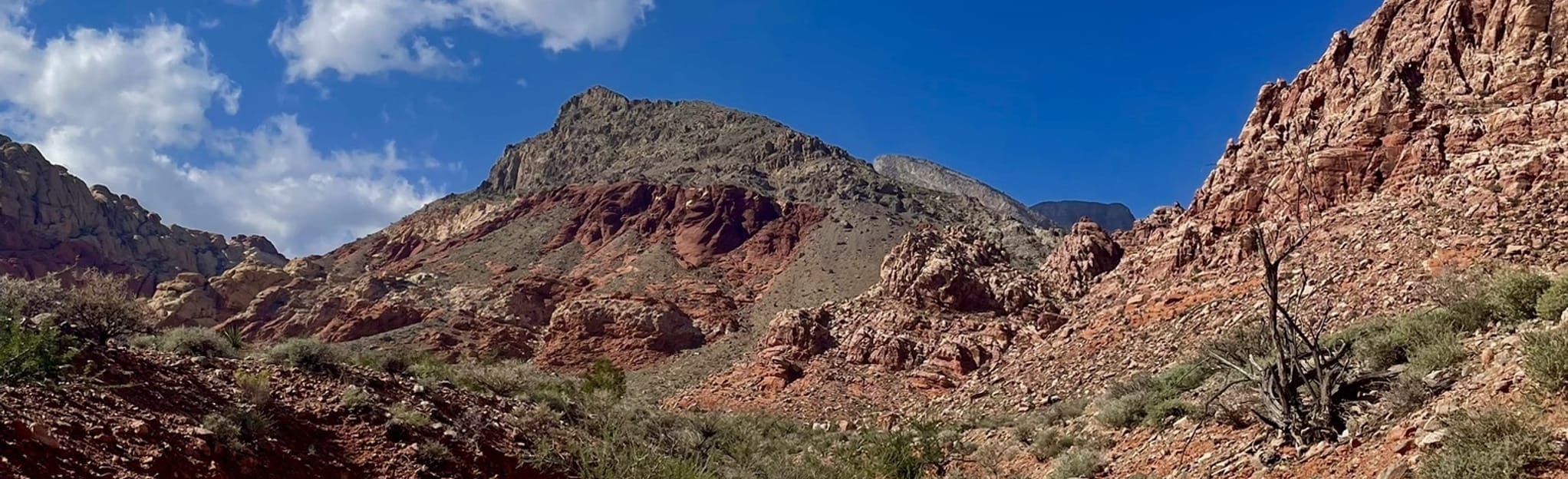 Pincushion and Damsel Peaks, Nevada 11 Reviews, Map AllTrails