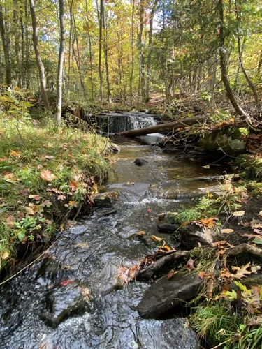 10 Best Trails and Hikes in Parry Sound | AllTrails