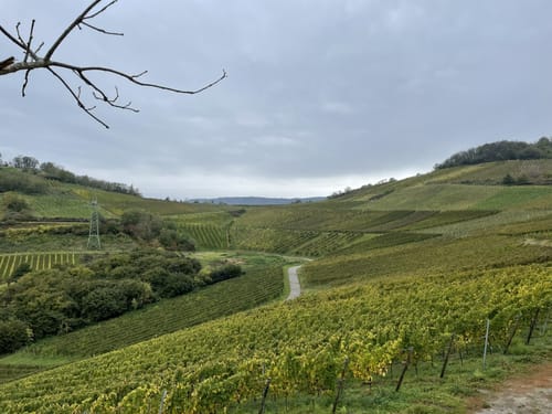 Sonneninselrundweg