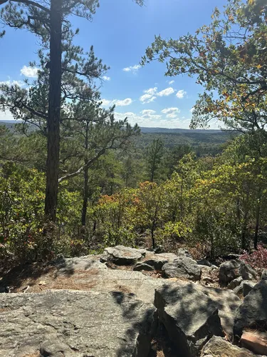 Hawn state park outlet backpacking