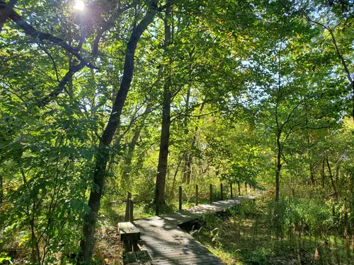 2023 Best Wheelchair Friendly Trails in Beaver Lake Park | AllTrails