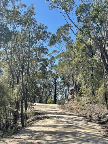 mountain bike trails blue mountains