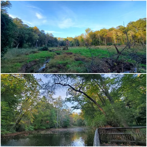 2023 Best Forest Trails in Wenonah AllTrails