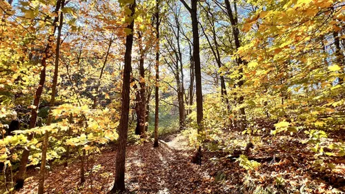 Escape to Serenity: Uncovering the Magic of Sica Hollow State Park