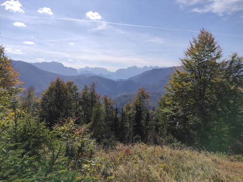Scharnkopf ab Nägling