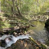 Roaring Run Hoop Hole Trail, Virginia - 702 Reviews, Map | AllTrails