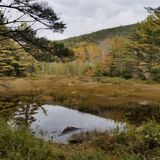 Eagle Lake Carriage Road Trail, Maine - 1,424 Reviews, Map | AllTrails