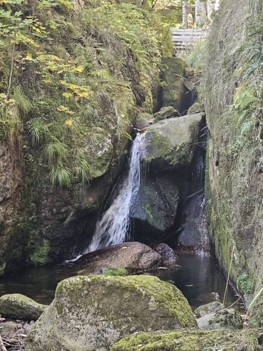 Menzenschwander Geißenpfad (Genießerpfad)