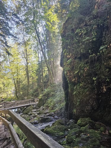 Menzenschwander Geißenpfad (Genießerpfad)
