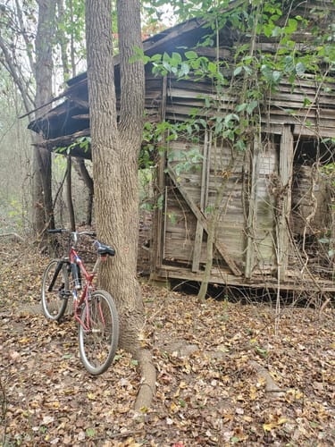 Mazeppa park discount mountain bike trail