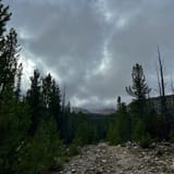 Mount Haggin Trail, Montana - 44 Reviews, Map | AllTrails