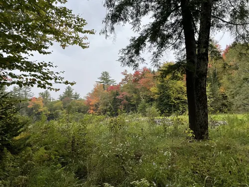 Best Kid Friendly Trails in Chittenden | AllTrails