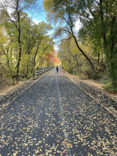 Bedste Vandreture Og Ruter I Utah Lake State Park AllTrails