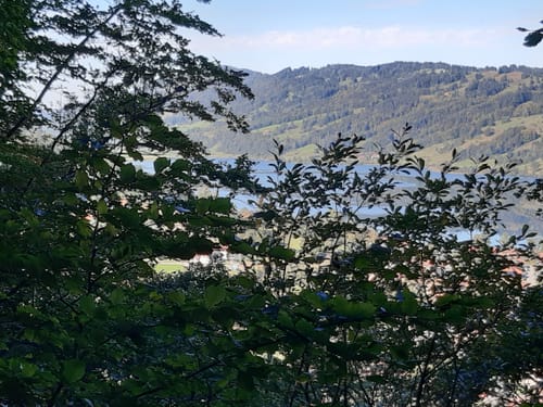 Von Stein im Allgäu nach Bühl am Alpsee