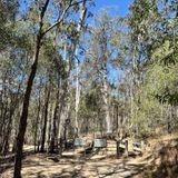 Pages Pinnacle , Queensland, Australia - 1,270 Reviews, Map | AllTrails