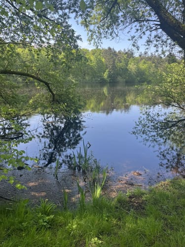 Spickelweiher Schleife