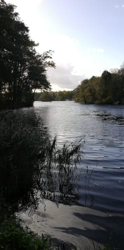 Rundwanderung Werbellinkanal - Rosenbecker See