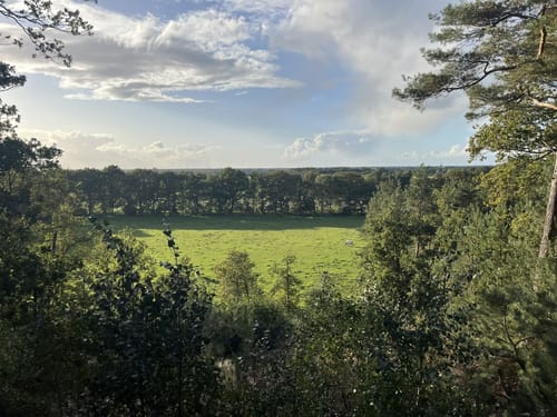 Galgenvenn (Premiumwanderweg)