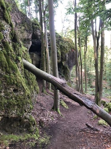 Höhenglück und Norissteig