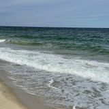 Sand Dune Trail, Massachusetts - 829 Reviews, Map | AllTrails