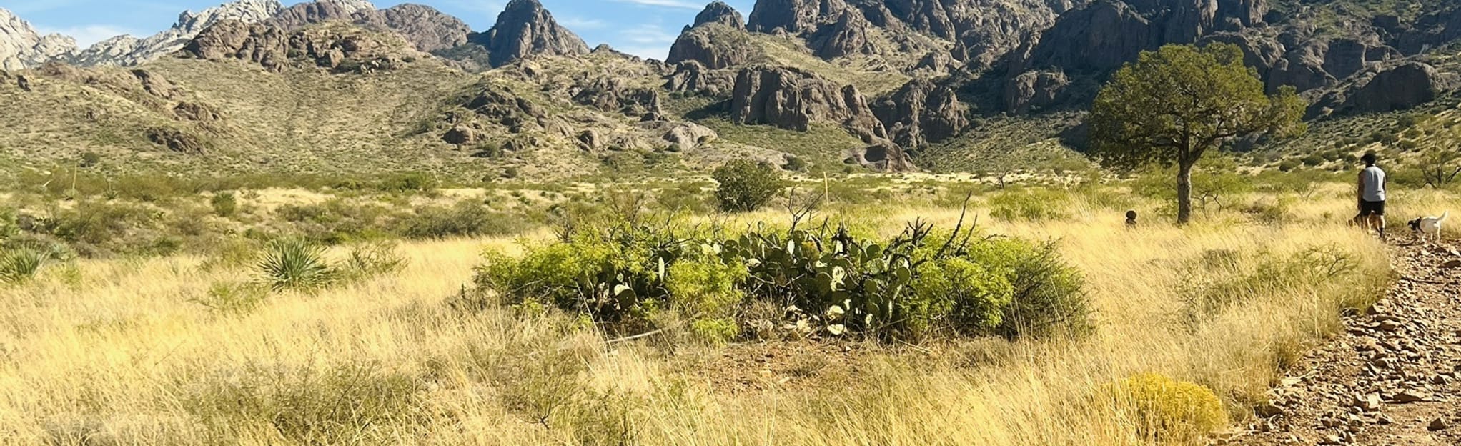 Soledad Canyon Loop, New Mexico 1,169 Reviews, Map AllTrails