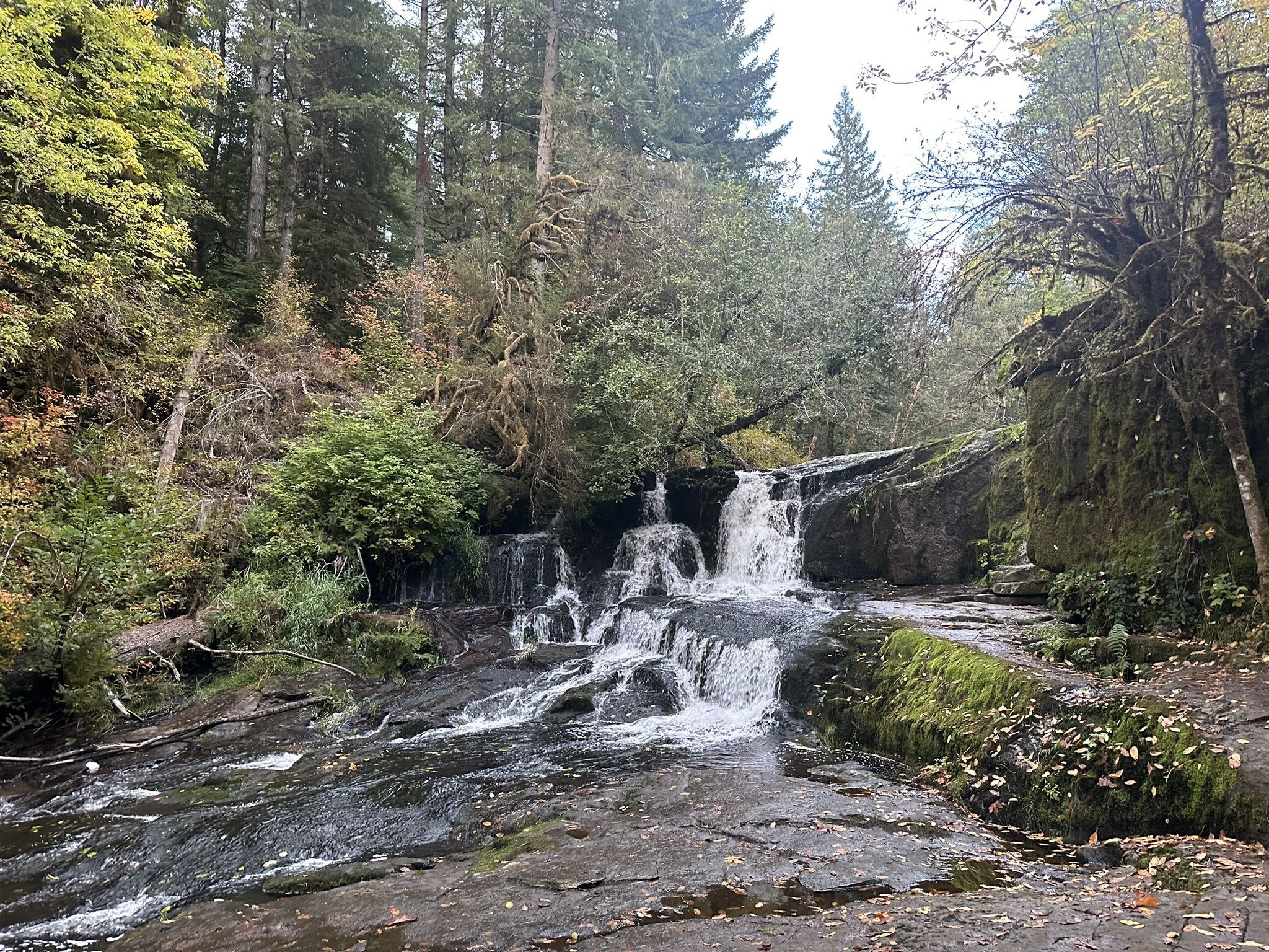 mappa del fiume alsea oregon