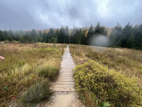 Best hikes in outlet dolly sods