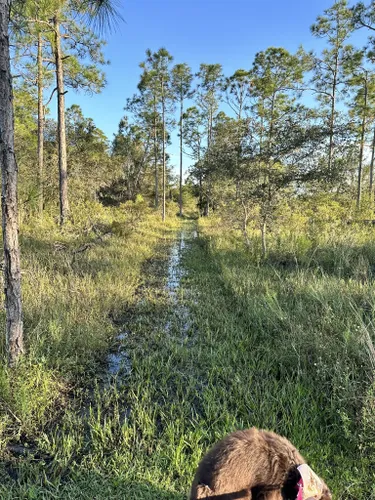 babcock ranch bike trails