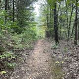 Indian Creek Trail to Eye of the Needle, Arkansas - 824 Reviews, Map ...